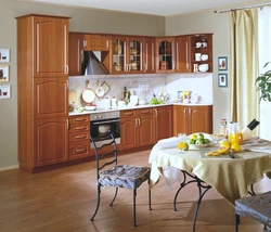 Walnut kitchen interior photos