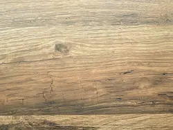 Corsica oak countertop in the kitchen interior