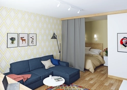 Apartment with a niche design project