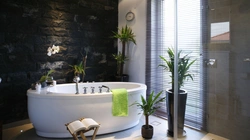 Flowers In The Bathroom Interior