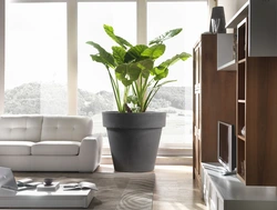 Living Room Decor With Flowers Photo