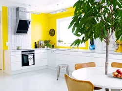 Kitchen renovation in white colors photo