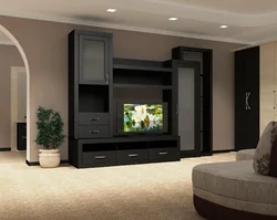 Living room interior wenge wall