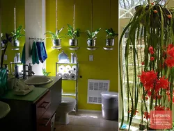 Bloom in the bathroom photo