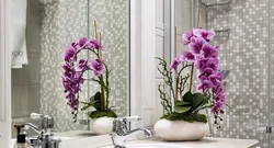 Bloom in the bathroom photo