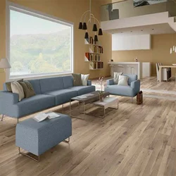 Qonaq Otağının Interyerində Linoleum Dizaynı