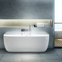 Freestanding bathtub in the bathroom interior