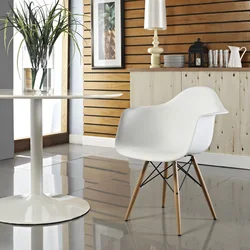 Light chairs in the kitchen interior