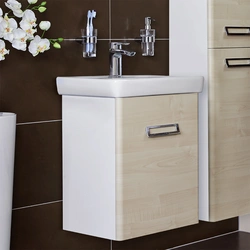 Cabinet with bathroom sink 50 cm photo