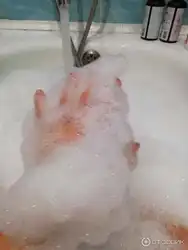Санаттар 