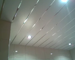 Plastik tavanlar hamam fotoşəkili