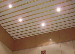 Plastic ceilings bath photo