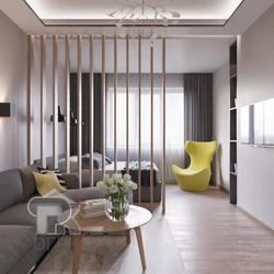 Living room interior with partition