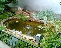 Pond at the dacha with your own from the bath photo