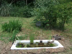 Pond At The Dacha With Your Own From The Bath Photo