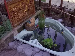 Pond at the dacha with your own from the bath photo