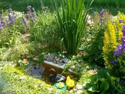 Pond at the dacha with your own from the bath photo