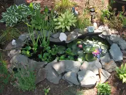 Pond at the dacha with your own from the bath photo