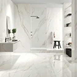 Interior Bath Tiles 60X60