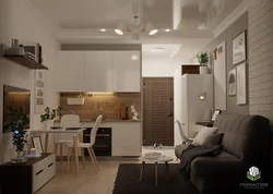 Studio kitchen design 26 sq m