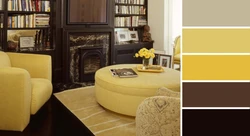 Combinations with chocolate color in the living room interior