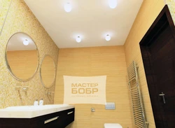 Ceiling for a small bathroom photo design