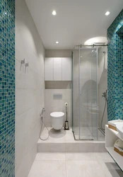 Bathroom interior with toilet and shower