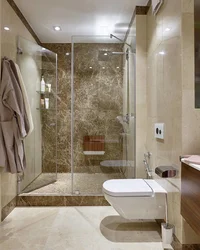 Bathroom interior with toilet and shower