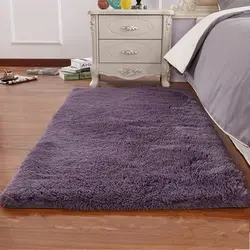 Rugs for the bedroom in the interior