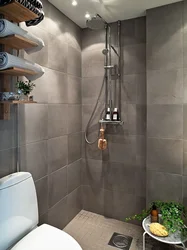 Bathroom And Toilet In One Room Interior With Shower
