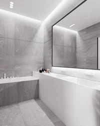 Gray Porcelain Tiles In The Bathroom Design Photo