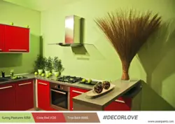 Paint the walls in the kitchen photo