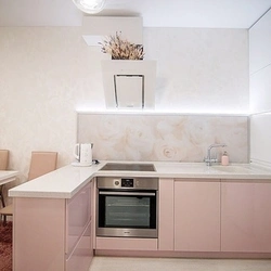 Powder kitchens in the interior photo