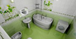 Bathroom design photo paneled small bath