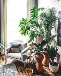 Flowers in the living room interior style