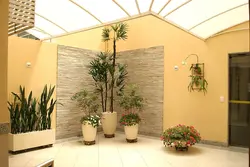 Photo of indoor plants for the hallway
