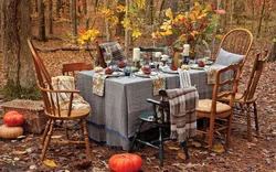 Autumn decor in the kitchen photo