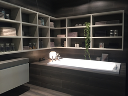 Bathroom interior with shelves