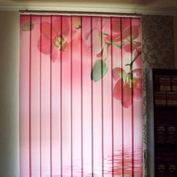 Vertical Blinds Photo In The Kitchen Interior