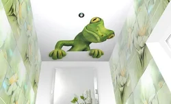 Ceilings 3D Photo Of Bathroom