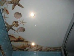 Шифти 3D акси ҳаммом