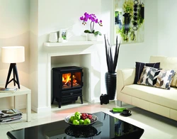 Fireplaces in the apartment interior photos