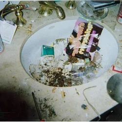 Whitney Xyuston foto hammomi