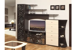 Mini wall in the living room in a modern style for a TV photo
