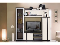 Mini wall in the living room in a modern style for a TV photo