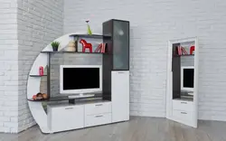 Mini wall in the living room in a modern style for a TV photo