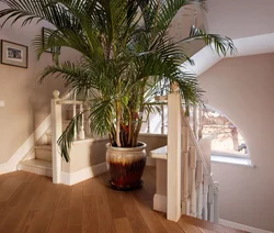 Interior flowers in the hallway