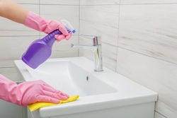 Cleaning The Bathtub Photo