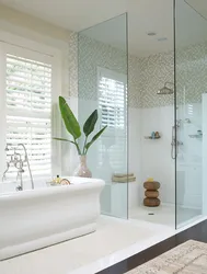 Bath Design With Glass Partition