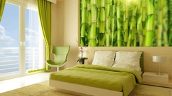 Green curtains for bedroom photo